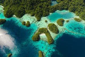 Explorer Raja Ampat : un paradis préservé pour les passionnés de nautisme