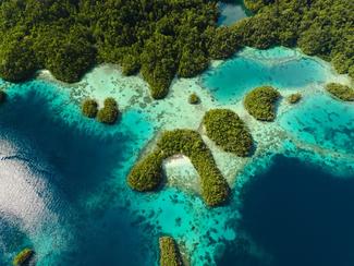 Explorer Raja Ampat : un paradis préservé pour...