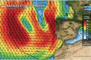Vendée Globe : dernière ligne droite pour Van Weynbergh