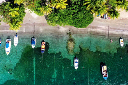 Nautisme Article