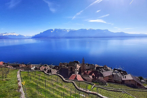 Le Léman et sa vie aquatique à l'épreuve du réchauffement climatique