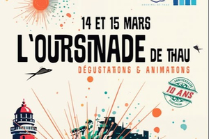 L’Oursinade de Thau 2025 : Un festin iodé au cœur de Sète