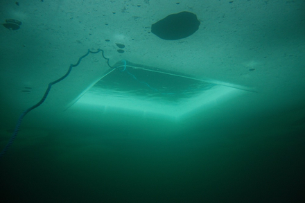 Nautisme Article