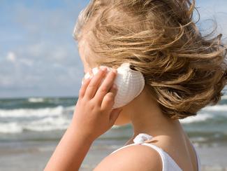 Pourquoi entend-on la mer dans les coquillages...