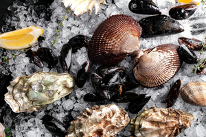 Comment savoir si un coquillage est frais ?