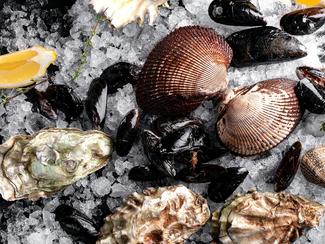 Comment savoir si un coquillage est frais ?