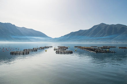 Nautisme Article