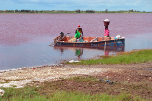 Au Sénégal, le lac Rose retrouve sa couleur mythique et ses touristes ravis