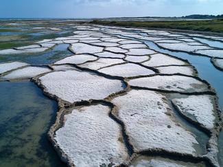 Sel de Camargue : comment la Méditerranée...