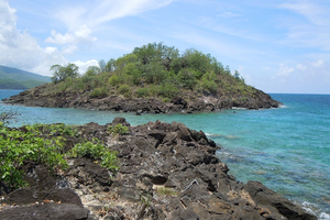 En Guadeloupe, la Réserve Cousteau sur le fil du rasoir