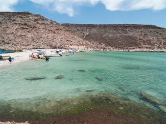 La Mer de Cortez, un plan d’eau d’exception…...