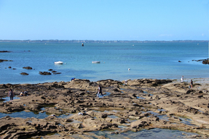 Pêche à pied : les 5 meilleurs endroits en France pour ramasser palourdes et couteaux