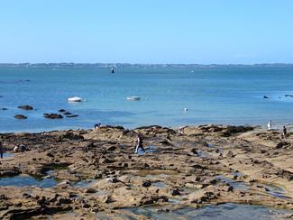 Pêche à pied : les 5 meilleurs endroits en...
