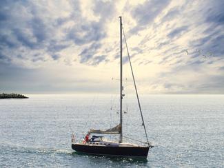 Pourquoi apprendre à faire une révision de son...