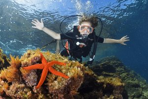 Plongée sous-marine : réaliser son rêve d’enfant et découvrir un autre monde