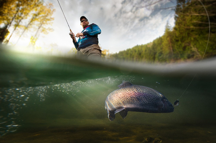 Nautisme Article