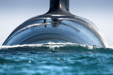 Nautisme Article