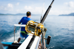 Protéger fortement des eaux françaises, un coût 