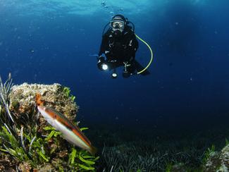 Méditerranée : chronique d’un désastre...