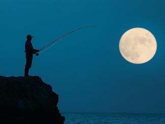 Pêche au calamar : astuces pour bien le...