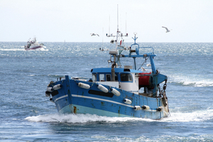 «Abroger les réglementations contraignantes» : Trump réautorise la pêche commerciale dans un sanctuaire marin du Pacifique