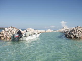 Cap sur l'île coquillages au coeur des Caraïbes