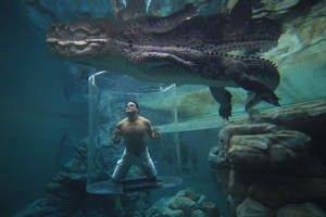 Nager avec les crocodiles : le grand frisson