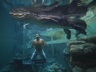 Nager avec les crocodiles : le grand frisson