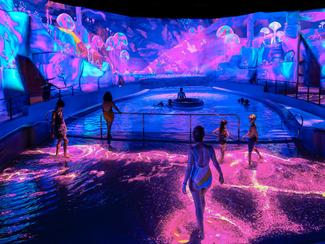 Les meilleurs parcs aquatiques au monde