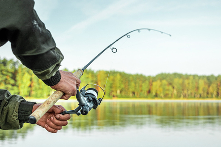 Nautisme Article