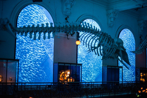 « Méditerranée 2050 » : une immersion audacieuse dans l’océan du futur