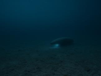 Les OSNIs, ces objets sous-marins non identifiés