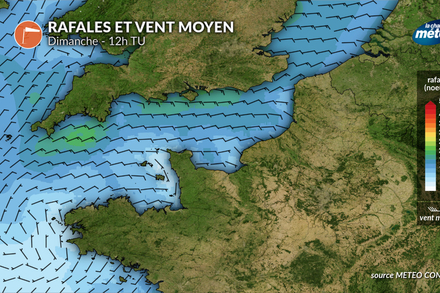 Vent en Manche dimanche 11 mai