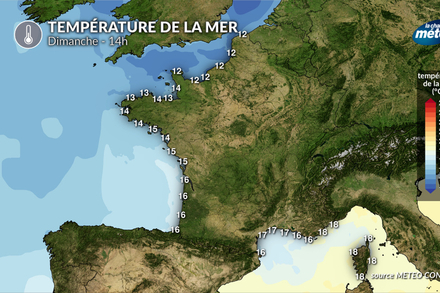 Temperature de la mer dimanche