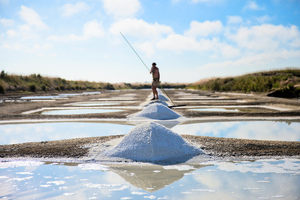Les marais salants : un écosystème à préserver face à l’urbanisation et au changement climatique 9/9