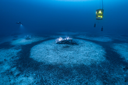 Expedition Gombessa Expedition Gombessa