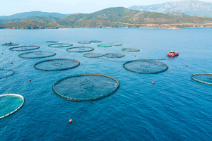 Pisciculture marine : un nouvel obstacle pour les navigateurs côtiers