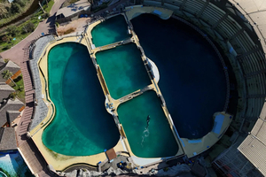 Wikie et Keijo toujours présents dans les bassins fermés du Marineland