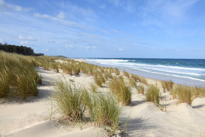 Gironde : la plage de Lacanau élue la plus propre de France