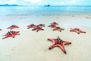Ne vous faites pas avoir par cette plage “paradisiaque”