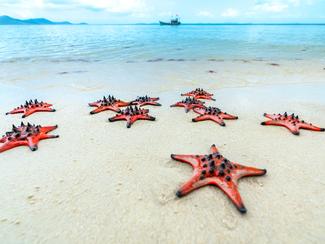 Ne vous faites pas avoir par cette plage...