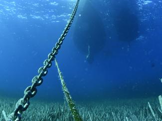 « Bateaux Bleus » : sensibiliser les...