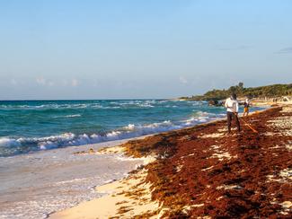 Guadeloupe: des rotations inter-îles...