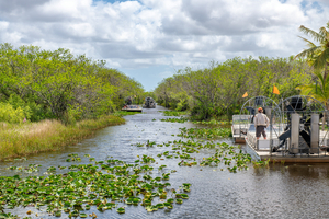 En Floride, une sécheresse extrême affecte faune et tourisme dans les Everglades
