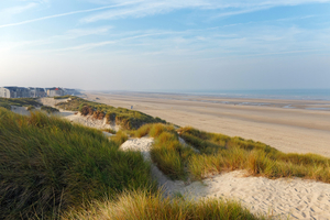 Les massifs d'or de la cité balnéaire de Fort-Mahon