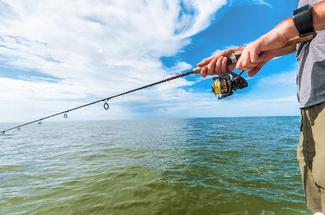Tout savoir sur la pêche du bar en Atlantique : techniques, saisons et r...