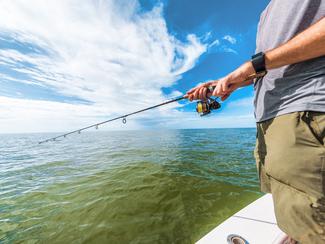 Tout savoir sur la pêche du bar en Atlantique...