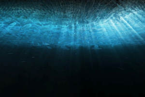 L’océan perd sa lumière : une alerte discrète mais capitale