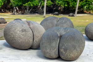 Connaissez-vous le coco-fesses ?