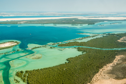 Nautisme Article